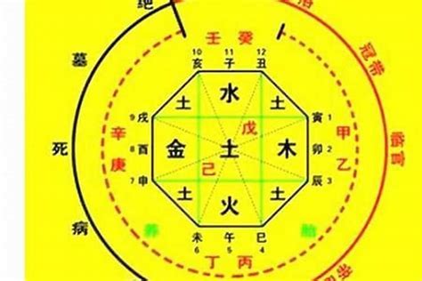 出生月份 五行|生辰八字算命、五行喜用神查询（免费测算）